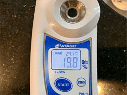 宮古島産の島バナナの糖度