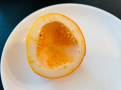 島バナナへの理解を深める、他の熱帯果樹・果物への関心_ミズレモン