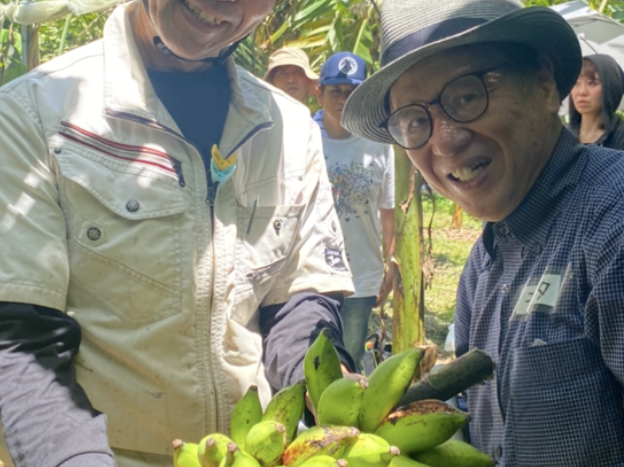島バナナ栽培技術確立プロジェクト 高橋 健さんの島バナナ畑で収穫体験をしました　2023/6/25
