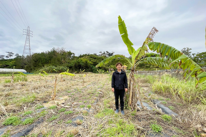 沖縄農業大学校の卒業生が始めた島バナナ畑を見学させていただきました。　2024/2/28