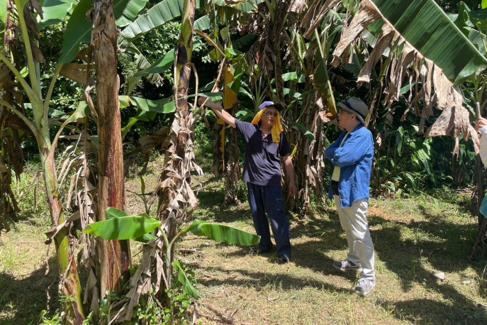 「森田さんの島バナナ農園」がある謝敷地区の視察をしました。 2024/06/24
