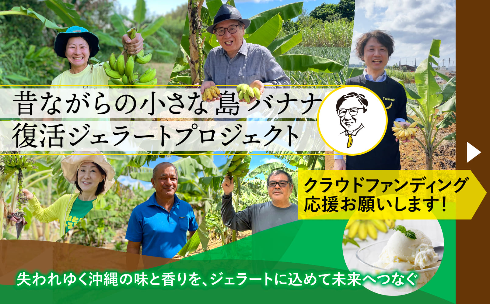 クラウドファンディング 11/17スタート