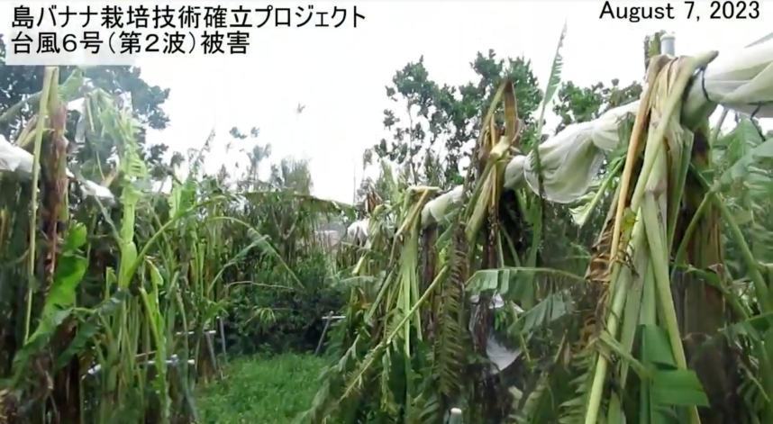 2023年8月の台風6号被害
