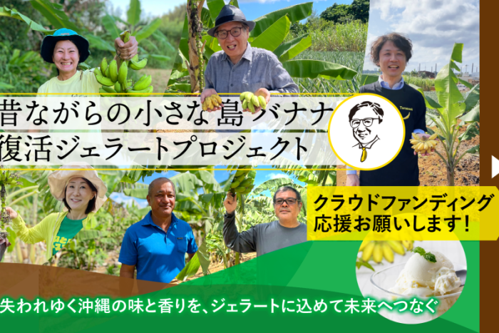 島バナナを次世代に遺すためのクラウドファンディングをスタートします