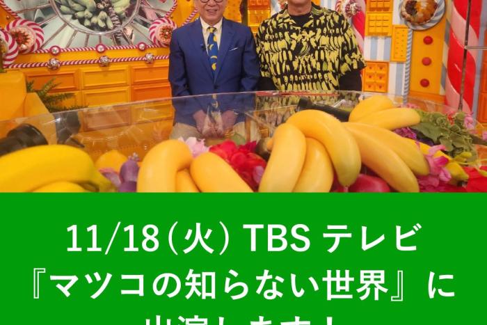 11/18(火) TBSテレビ『マツコの知らない世界』に出演します！
