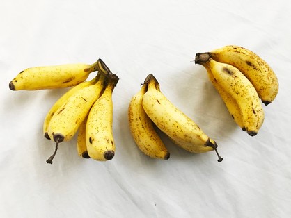 このルックスが「本物の島バナナ」