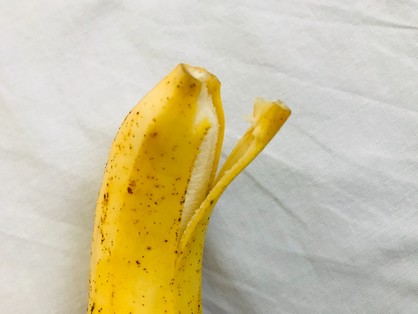 島バナナの頭を少しむく