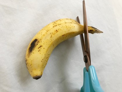 島バナナの頭を切る