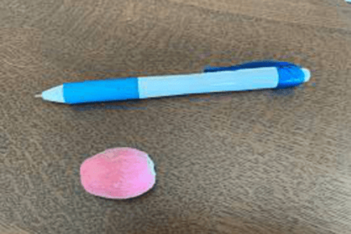 アケビバナナの生育（2021/01/03）／収穫