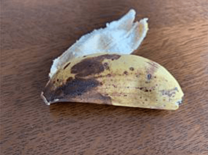 パサパサ感のあった島バナナの皮