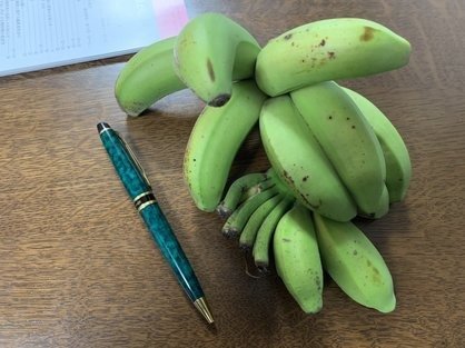 わしたショップで販売されていた島バナナ