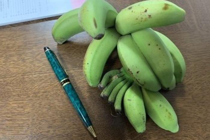 沖縄物産の店、銀座の「わしたショップ」で販売されている島バナナ