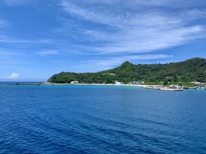 島バナナのルーツと思われる小笠原諸島