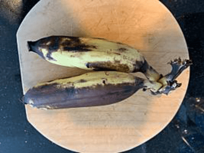 島バナナと比較するためのフィリピン産バナナ「キューイナ」