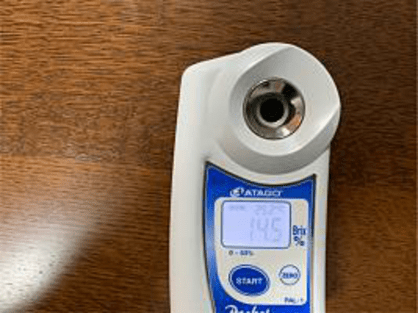 島バナナの糖度と比較するための台湾産パイナップルの糖度測定