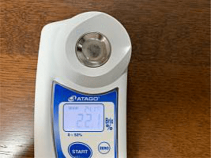 島バナナの研究で、キウイバナナの糖度を測る