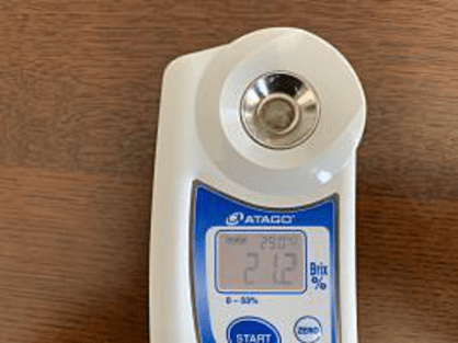 島バナナと比較するための一般的なバナナの糖度