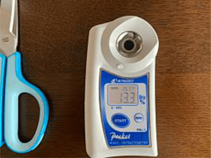 島バナナと比較するため台湾産パイナップルの糖度を測る