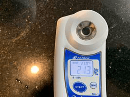 島バナナの研究で、ブドウの糖度を測る