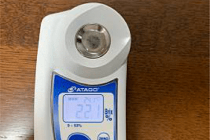 糖度を計測. 5／キウイバナナ 22.1