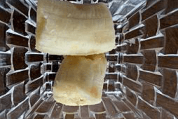 糖度を計測. 4／ジャイアントキャベンディッシュ 21.2