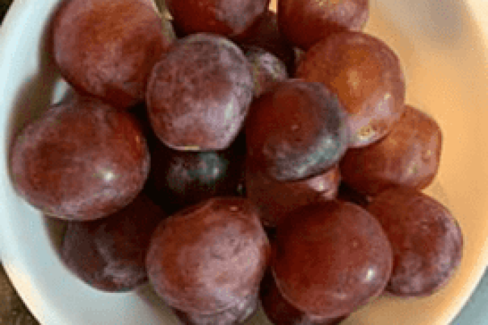 糖度を計測. 6／ブドウ 21.3・メロン 10.7