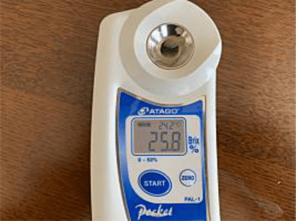 冷凍島バナナの糖度