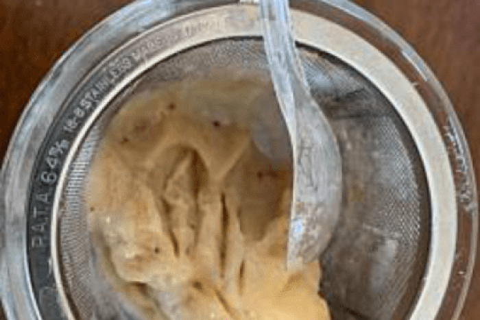 糖度を計測. 2／水道水 0.0・デコポン11.0・冷凍島バナナ 25.8