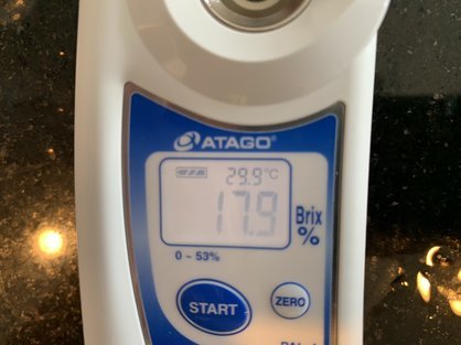 島バナナ研究の一環で沖縄県産熱帯果樹ミズレモンの糖度を計測