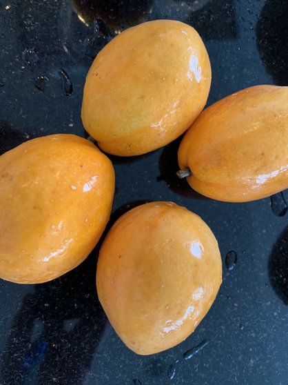 島バナナ研究の一環で沖縄県産熱帯果樹ミズレモンを食す