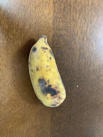 島バナナ研究の一環で、沖縄県産の熱帯果樹を食べる／パパイヤ