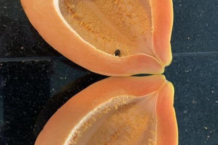 沖縄県産パパイヤを食べました。