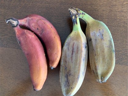 島バナナは売っていないがモラードバナナとカルダバはある