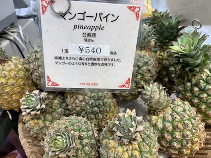 島バナナへの理解を深める、他の熱帯果樹_マンゴーパイン