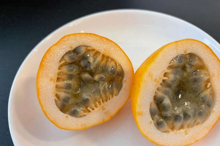 【島バナナ研究の一環】「ミズレモンは衝撃の美味しさ」を受けてのミズレモン