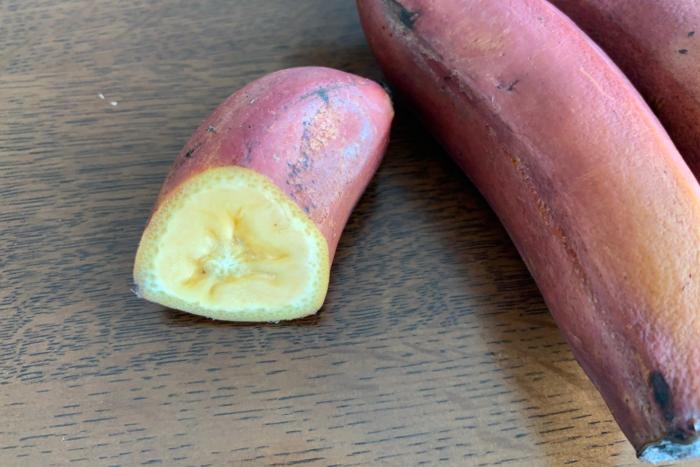 【島バナナ研究の一環】モラードバナナとカルダバ 2021/06/22