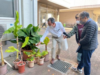 小谷さんのキングバナナの鉢植えの説明を受ける森田