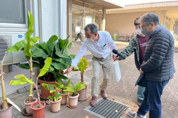 千葉大学文学部教授 小谷真吾さんに島バナナについてご教授いただきました　2022/11/11