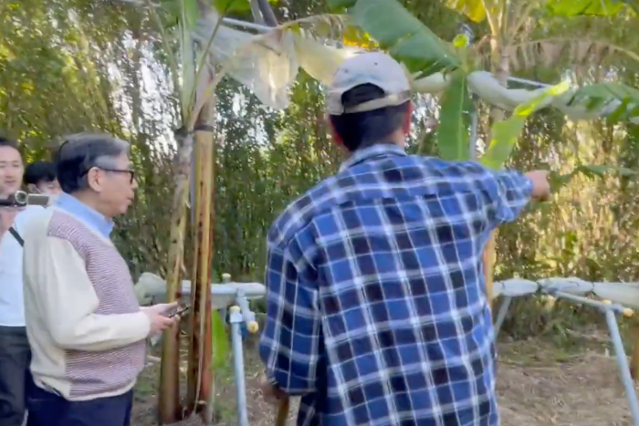 島バナナ栽培技術確立プロジェクトの島バナナを栽培する高橋 健さんと瀬戸田 亜祐美さんを訪問　2023/3/4