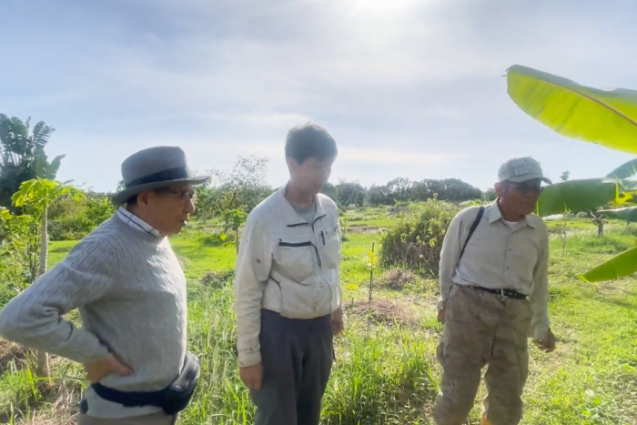 バナナを鑑賞できるレンタル農場を視察しました。2024/4/1