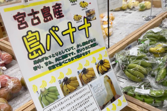 島バナナを販売するあたらす市場を見学しました。2025/02/22