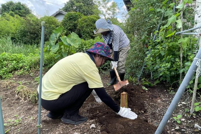 鹿児島県薩摩川内市の小田原さんの畑（庭）に島バナナ株分け定植 2025/08/24