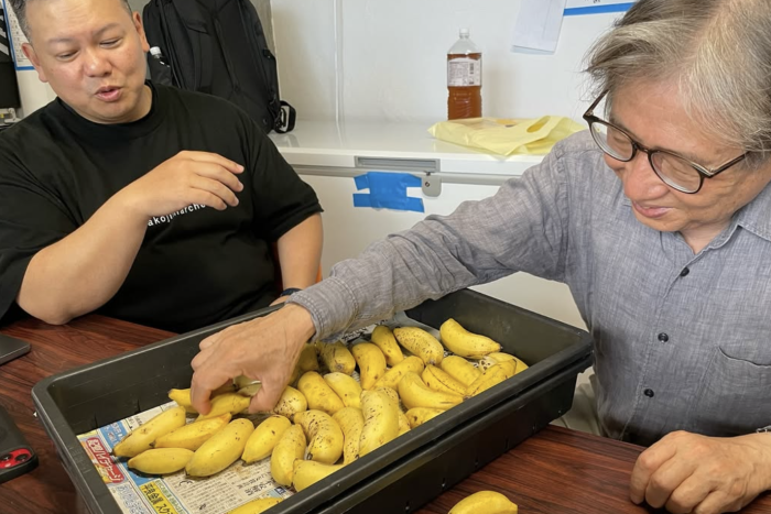 島バナナジェラート クラウドファンディングの打ち合わせをしました。　2025/10/05