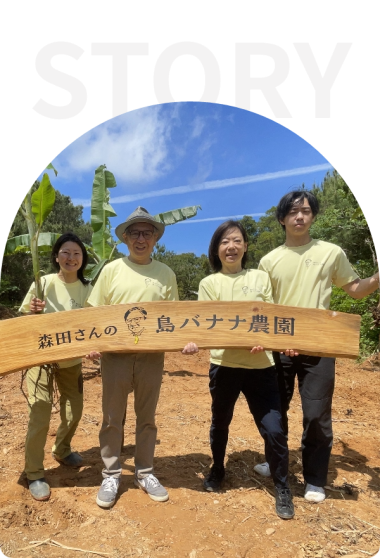 島バナナ農園の写真